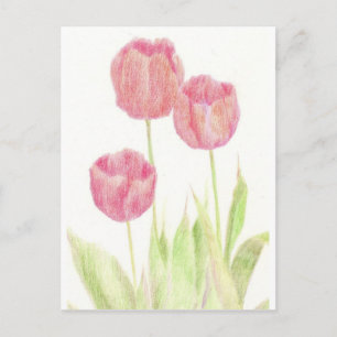Carte Postale Red Tulip Spring Flower Cottage Garden Art