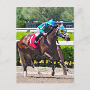 Carte Postale Red Velvet remporte le Jersey Girl Stakes