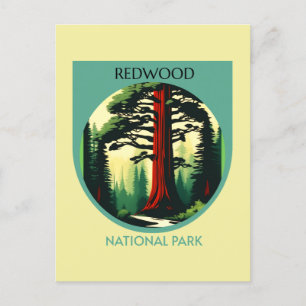 Carte Postale Redwood National Park Beauty en Californie