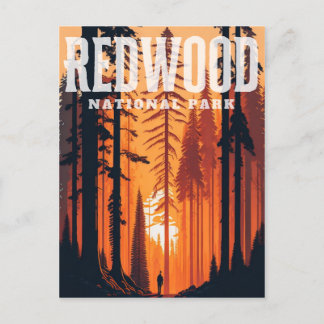 Carte Postale Redwood National Park, CA Postcard