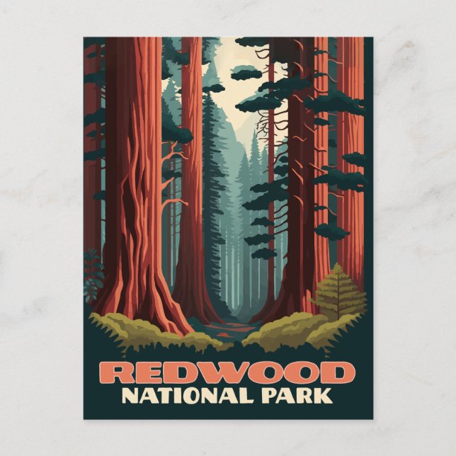 Carte Postale Redwood National Park Californie Trees (Devant)