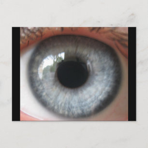 Carte Postale Réélection en bleu eye postcard