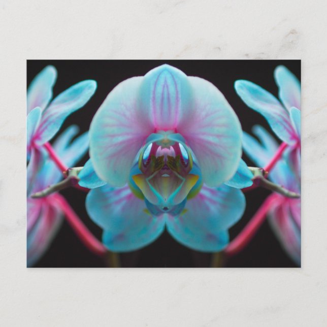 Carte Postale Réflection de l'orchid bleu exotic (Devant)