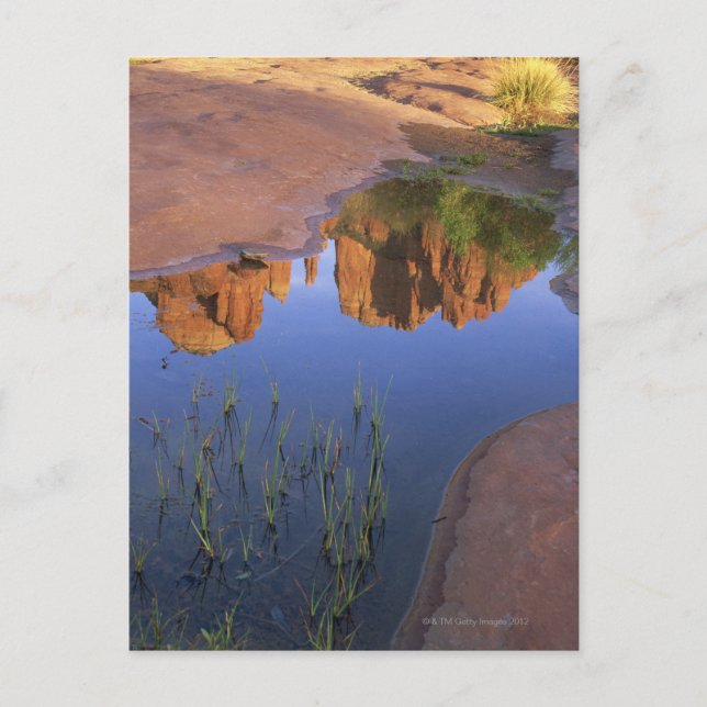 Carte Postale Réflexion de Cathedral Rock, Sedona, Arizona (Devant)