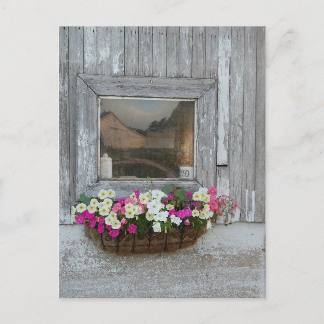 Carte Postale Réflexion de la grange (Devant)