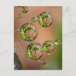 Carte Postale Réflexion des gouttelettes d'eau