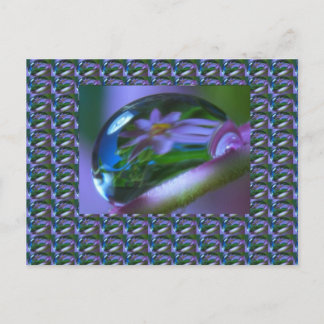 Carte Postale RÉFLEXION Fleur sur une DEW DROP . CADEAUX bas pri