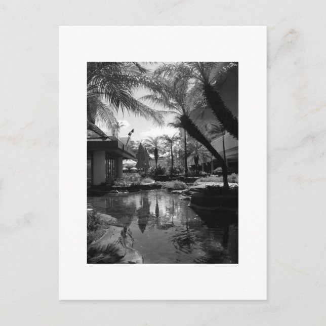 Carte Postale Réflexion tropicale (Devant)