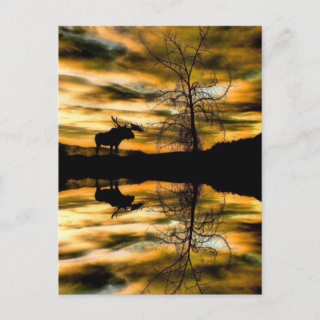   Carte postale Réflexions (Devant)