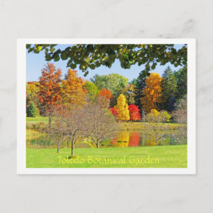 CARTE POSTALE RÉFLEXIONS DE CHUTE AU LAC AU JARDIN BOTANIQUE DE