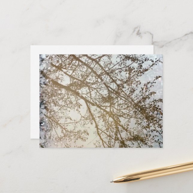 Carte Postale Réflexions de l'arbre de printemps Piste cyclable  (Devant/Arrière en situation)