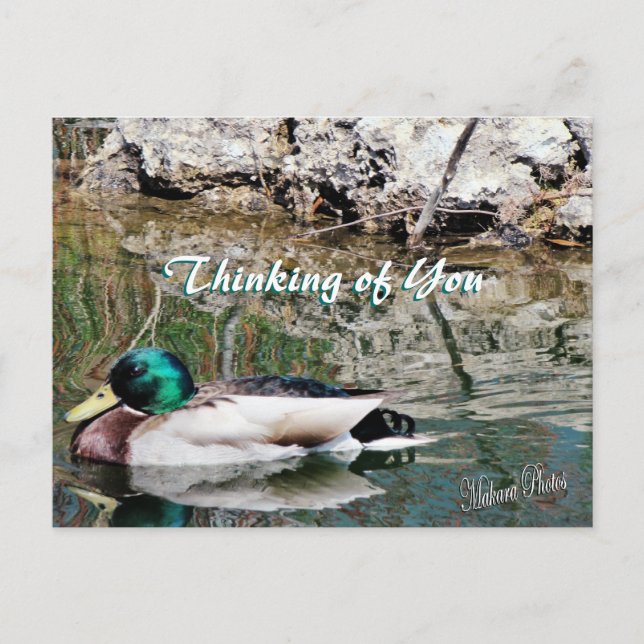 Carte postale Réflexions de Mallard personnaliser (Devant)