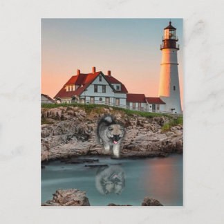 Carte Postale Réflexions de phare