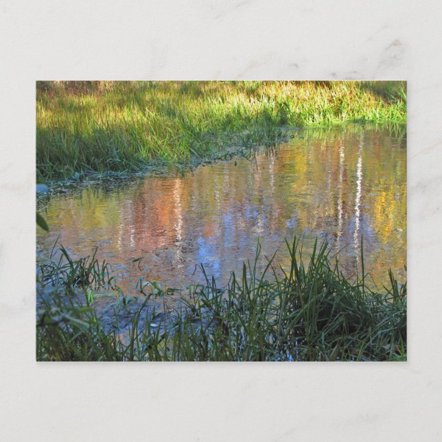 Carte Postale Réflexions des marais d'automne (Devant)