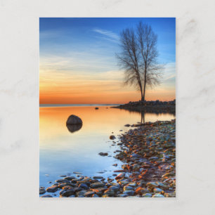 Carte Postale Réflexions du matin
