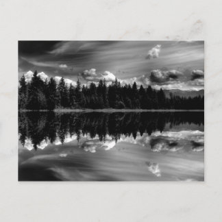 Carte postale Réflexions en noir et blanc