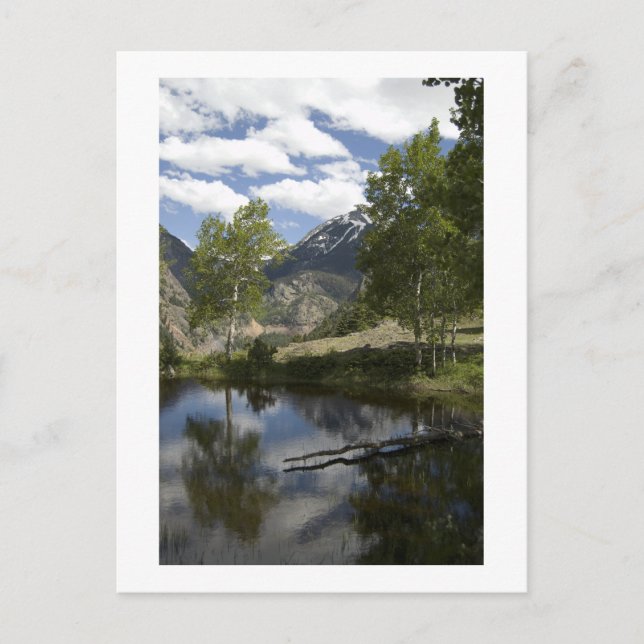 Carte Postale réflexions le long du sentier (Devant)