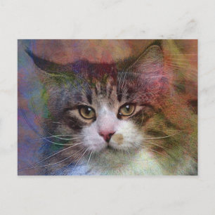 Carte Postale Réflexions profondes