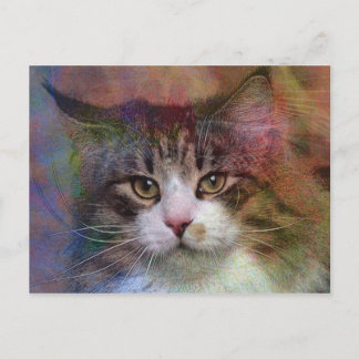 Carte Postale Réflexions profondes