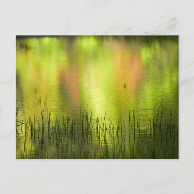 Carte Postale Réflexions sur le lac Mirror | Yosemite (Devant)