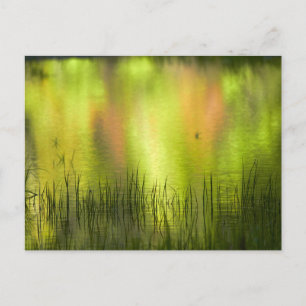 Carte Postale Réflexions sur le lac Mirror   Yosemite