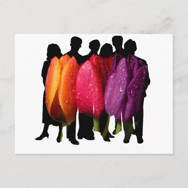 CARTE POSTALE REFUGE SÛRE (Devant)