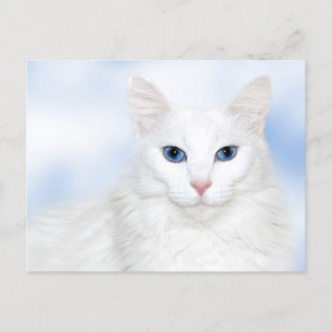 Carte Postale Regal blanc chat