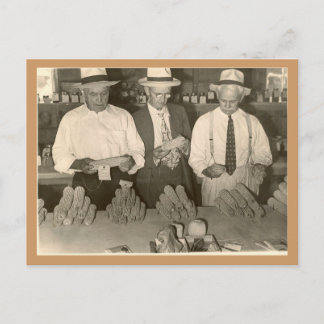 Carte Postale Regard sur le maïs