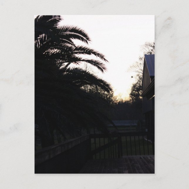 Carte Postale Regarder le coucher du soleil (Devant)