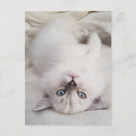 Carte Postale Regarder vers le bas