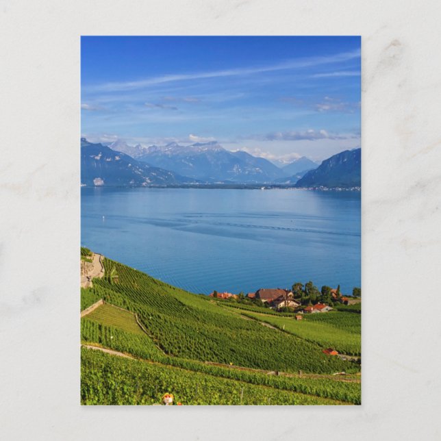 Carte Postale région de Lavaux, Vaud, HDR (Devant)