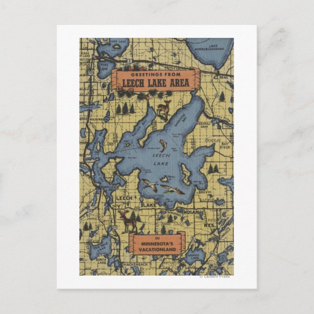 Carte Postale Région du lac Leech, Minnesota - Scènes à grandes  (Devant)