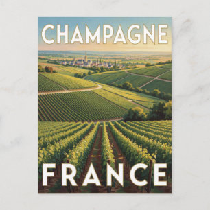 Carte Postale Région viticole Champagne France Vignobles vallonn
