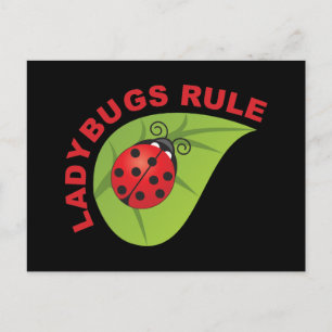Carte Postale Règle Ladybugs