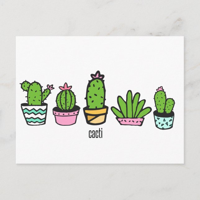Carte Postale regroupement de cactus (Devant)