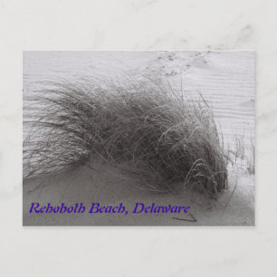 Carte postale Rehoboth Beach Gris