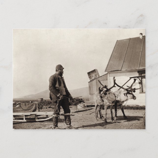 Carte postale Reindeder (Devant)