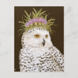 Carte postale Reine des neiges