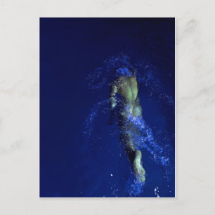 Carte Postale Relais solo