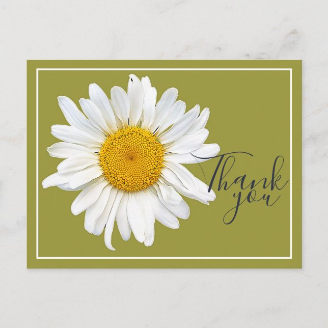 Carte Postale Remerciement avec Marguerite Blanche Centre Jaune  (Devant)