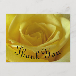 Carte Postale Remerciement Rose Jaune Photo Appréciation