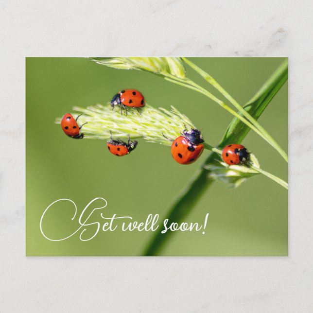 Carte Postale Remets-toi vite avec les petites coccinelles migno (Devant)