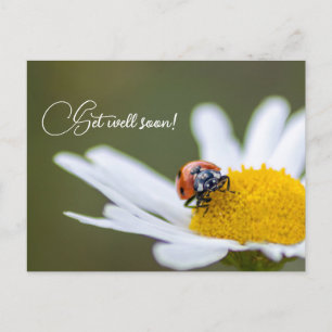 Carte Postale Remets-toi vite avec les petites coccinelles migno