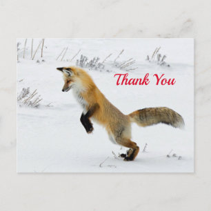 Carte Postale Ren sautant dans la neige Photo Merci