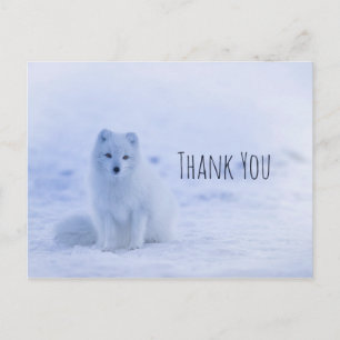 Carte Postale Renard arctique mignon sur la neige Merci