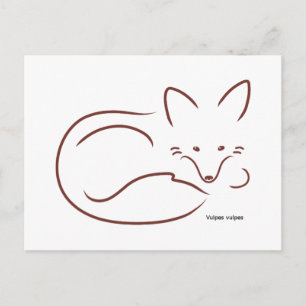 Carte Postale Renard rouge