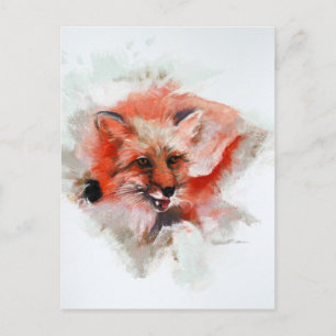 Carte Postale Renard rouge