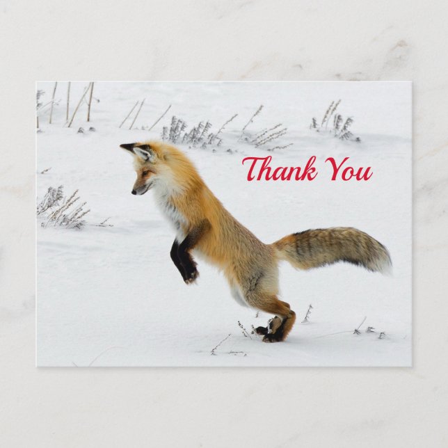 Carte Postale Renard Sautant sur la Neige Photo Merci (Devant)
