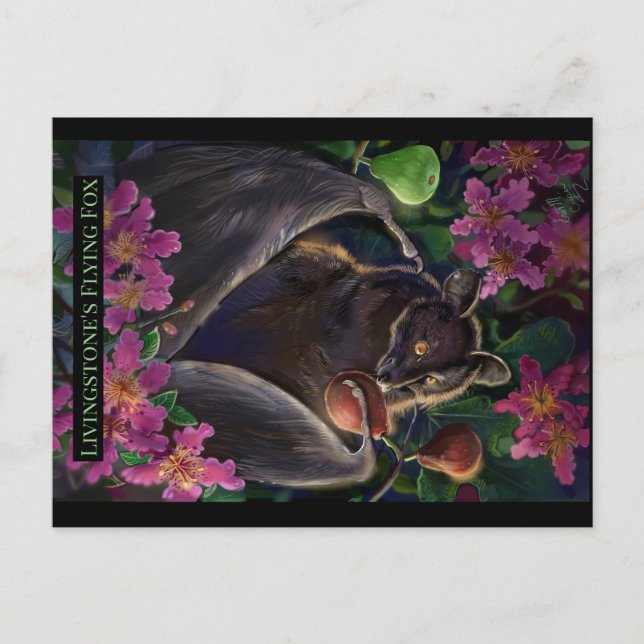 Carte Postale Renard volant Livingstone (Devant)