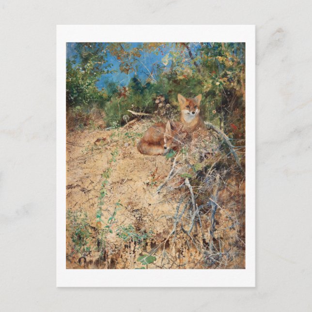 Carte Postale Renards, Bruno Liljefors (Devant)